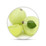 icona-amla